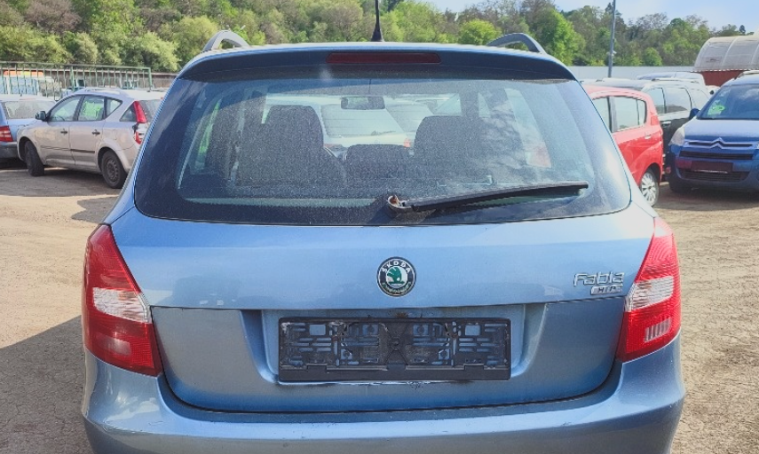trunk