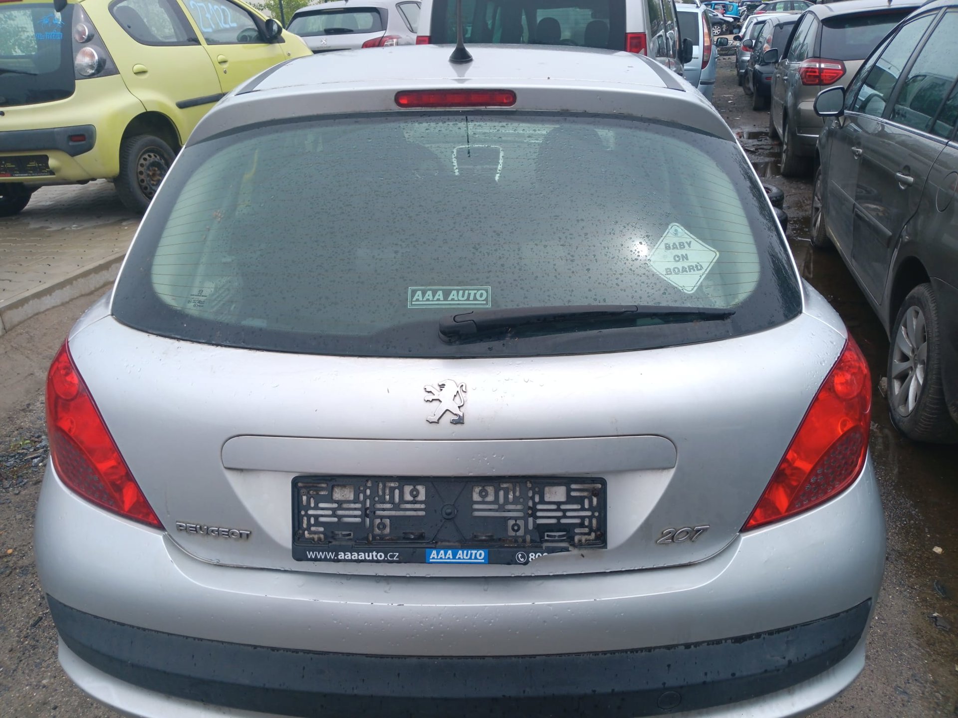 trunk