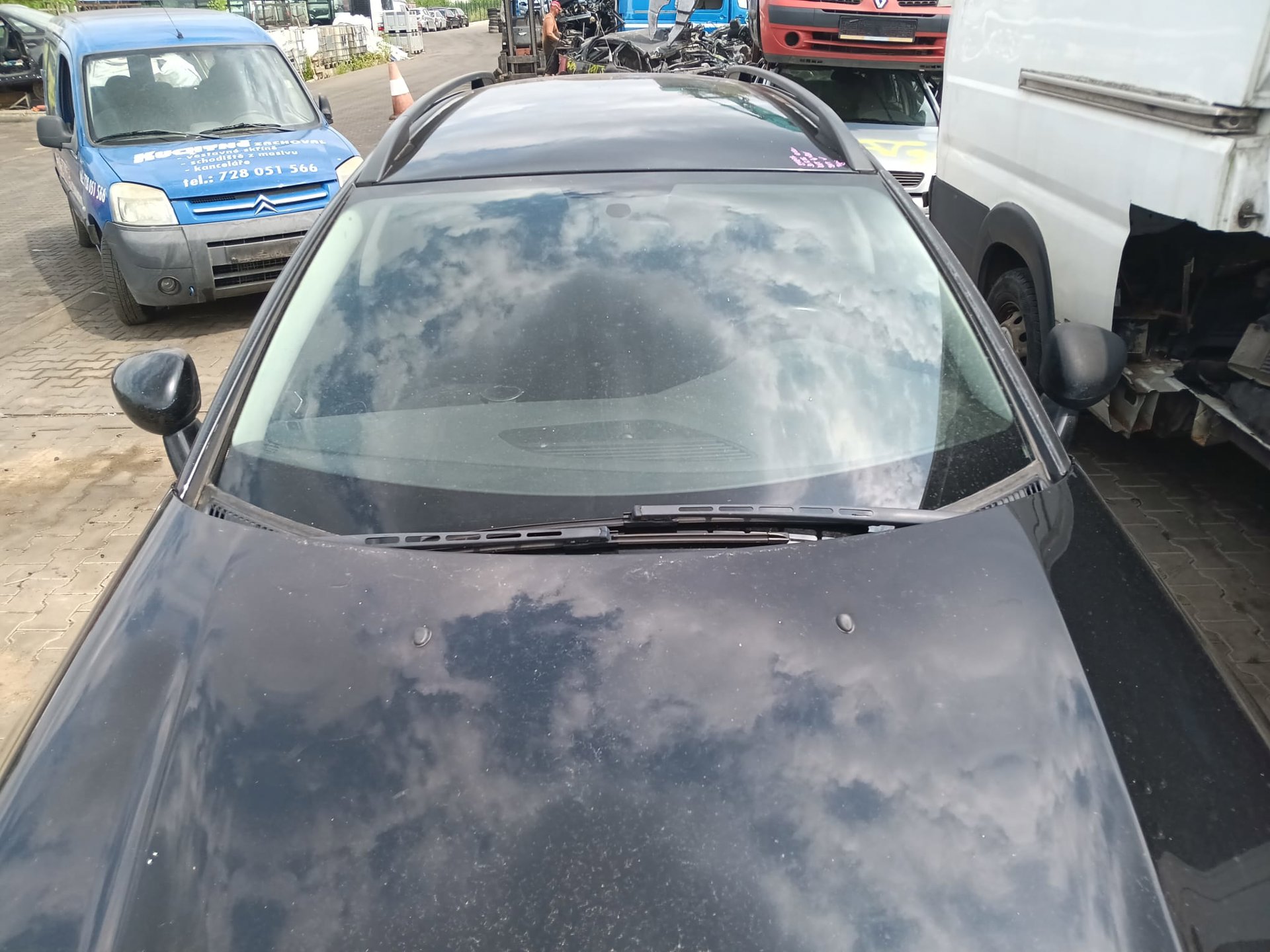 windshield