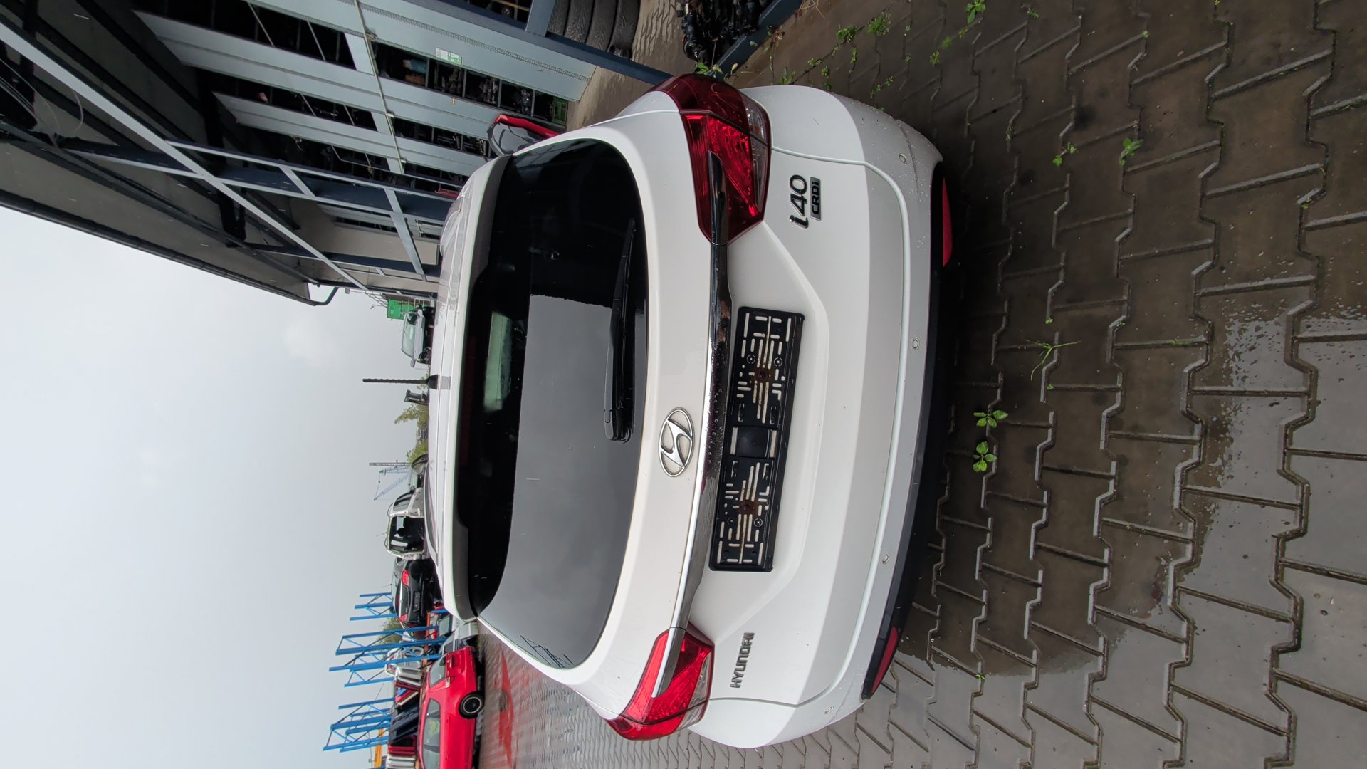 trunk