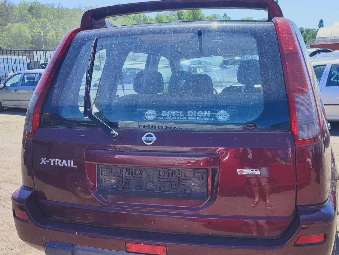 trunk