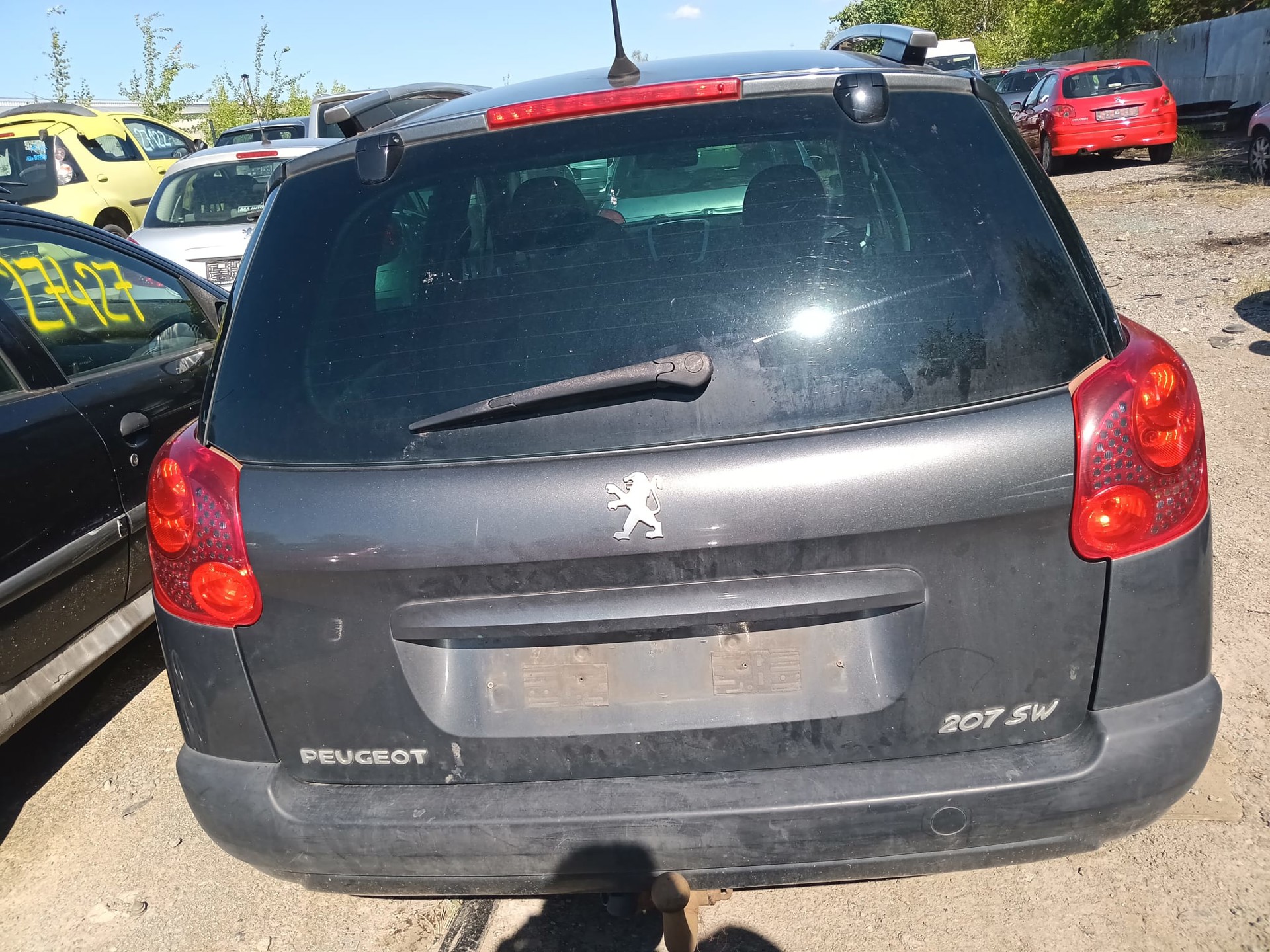 trunk