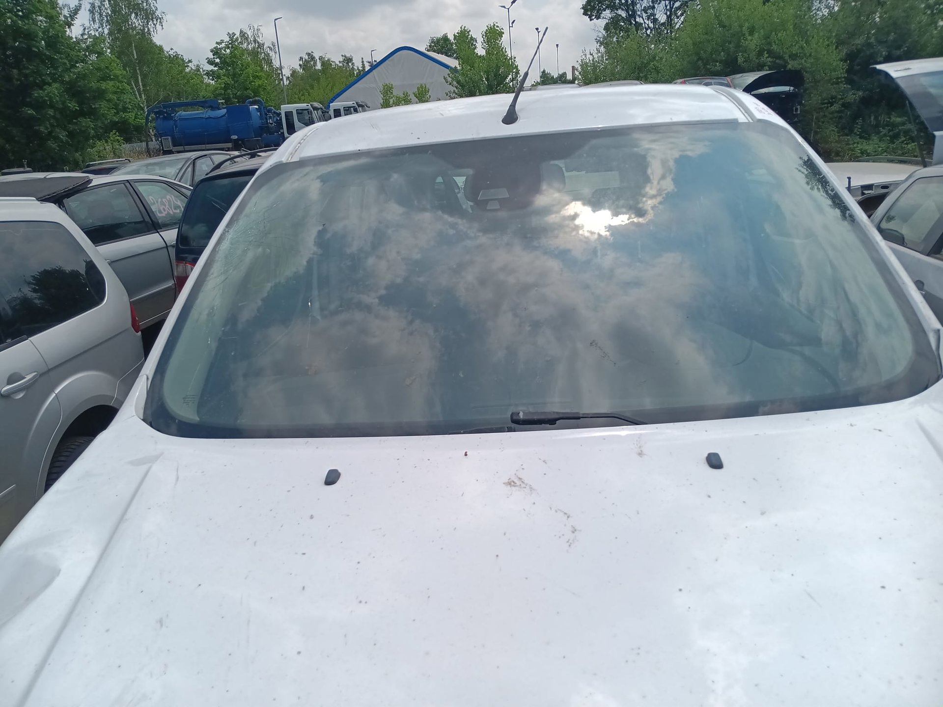 windshield