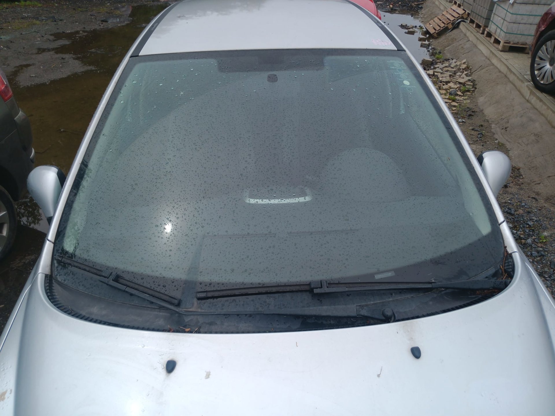 windshield