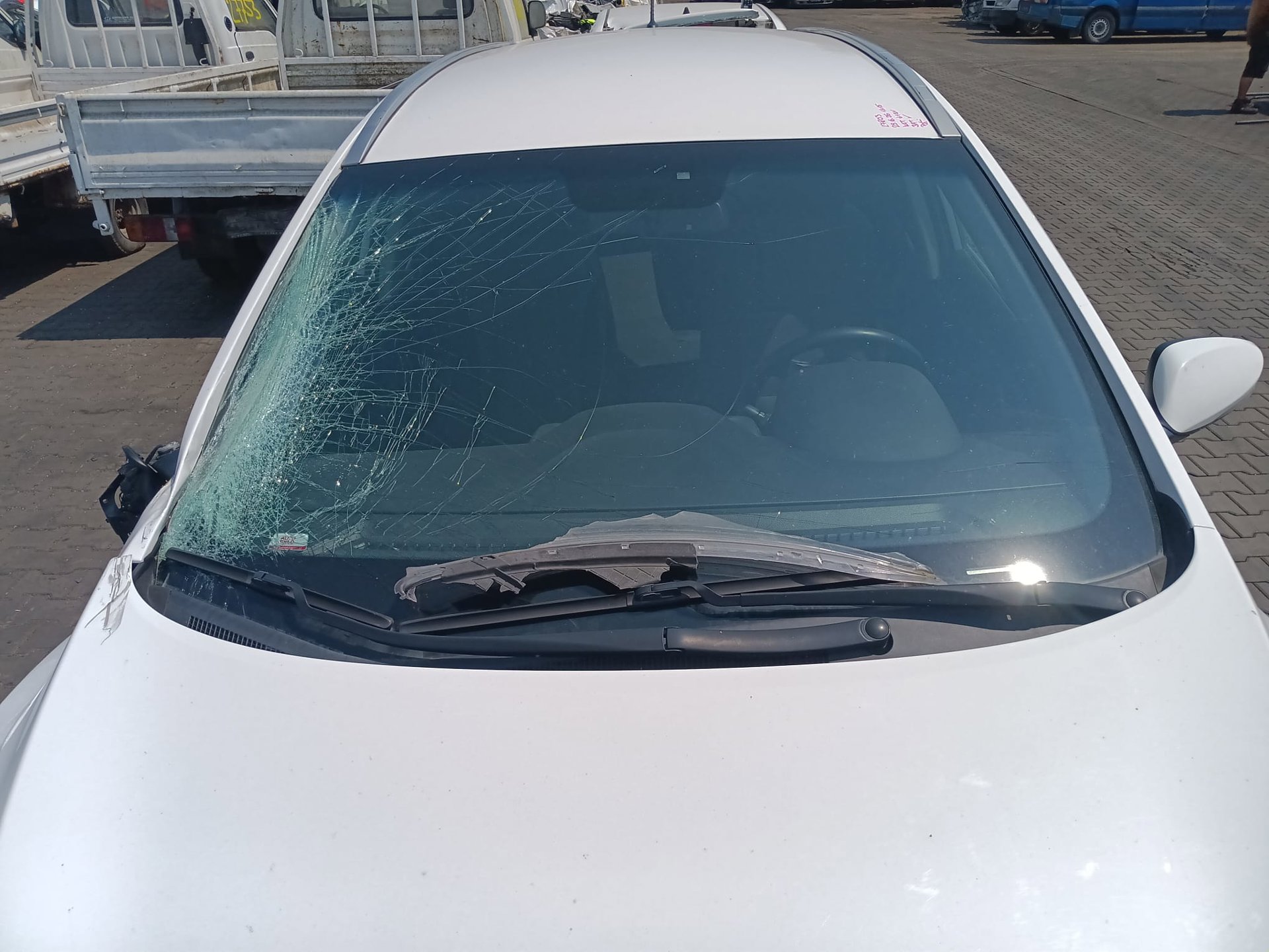 windshield