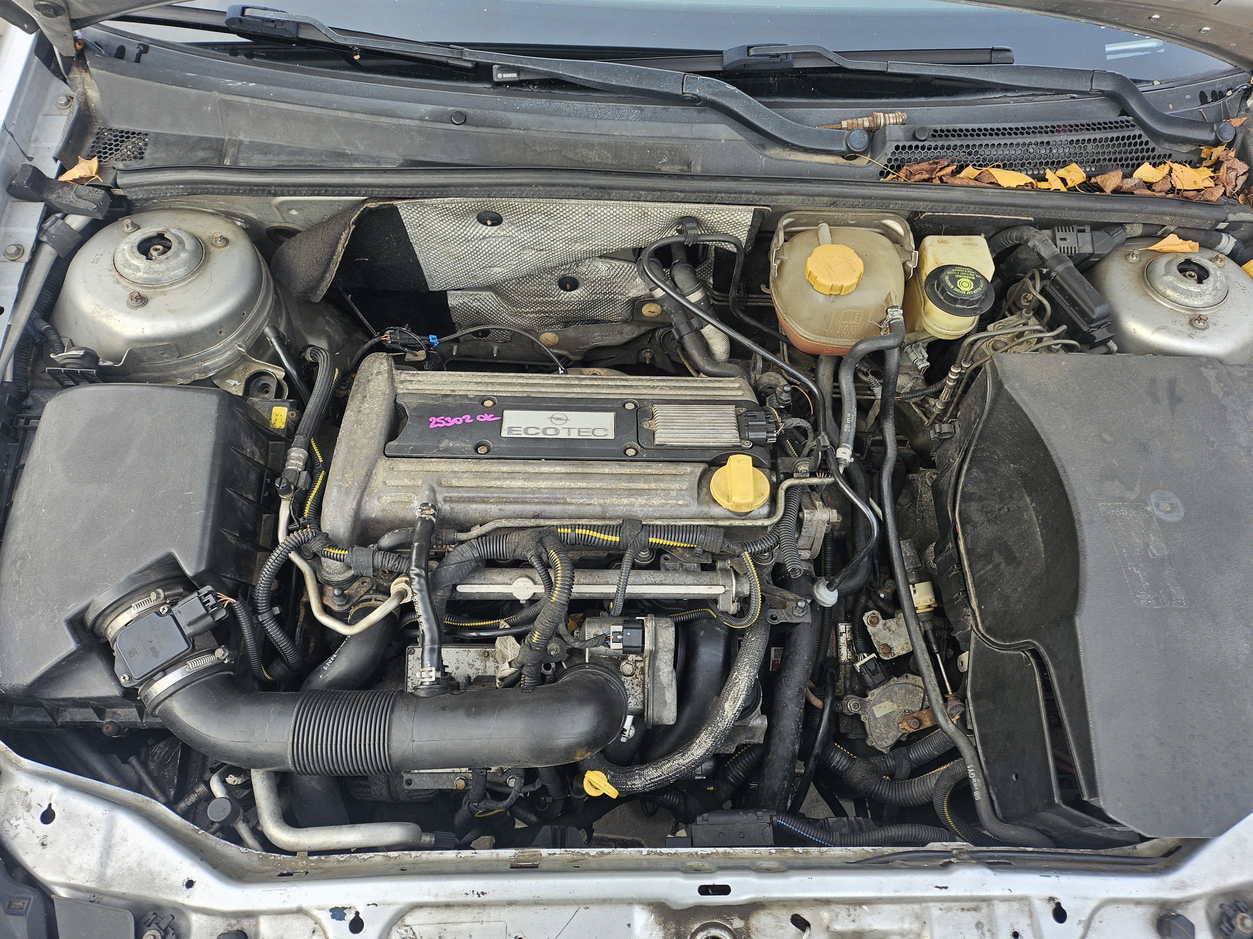 engine_bay