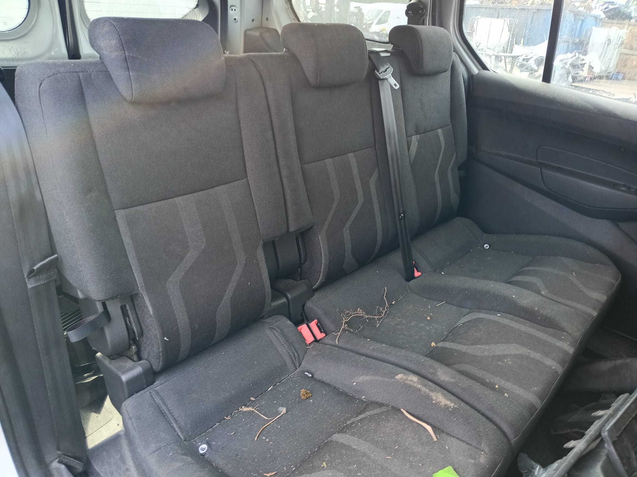 rear_seats