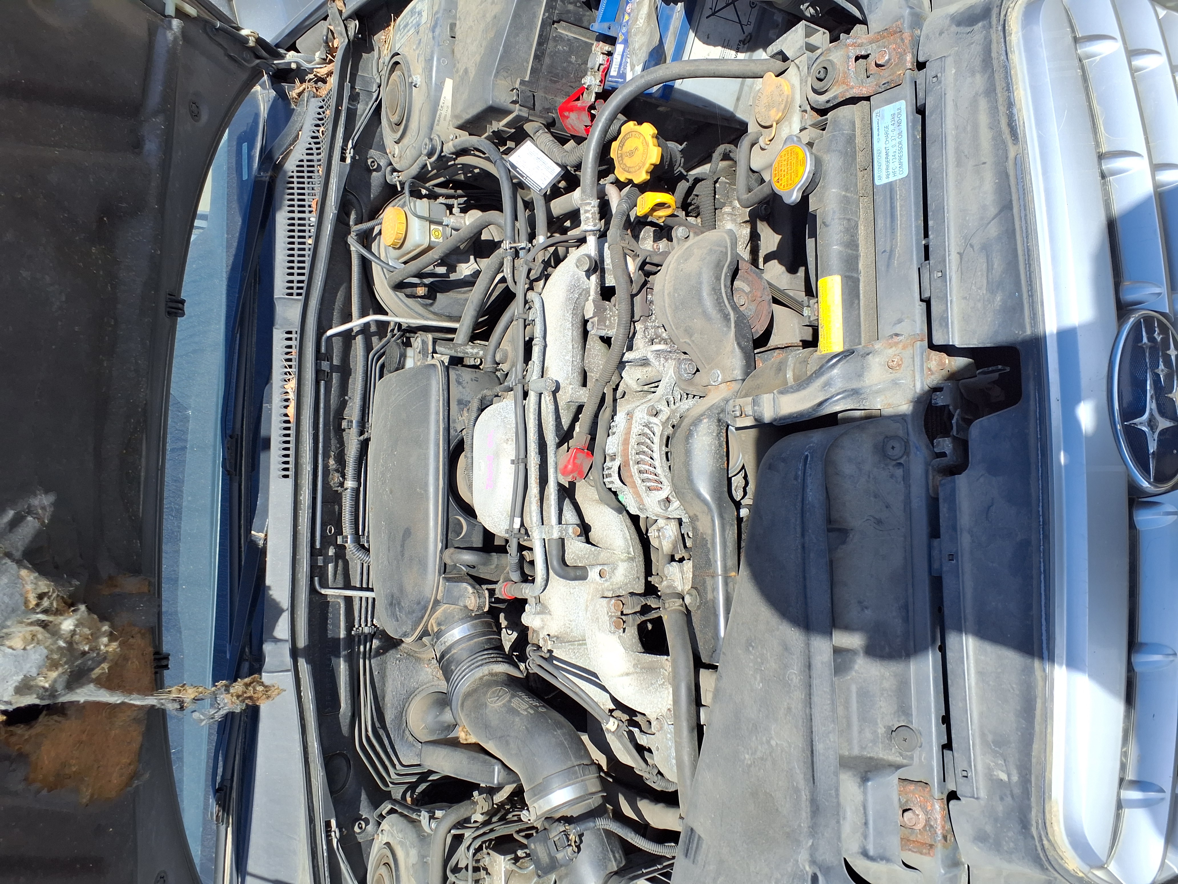 engine_bay