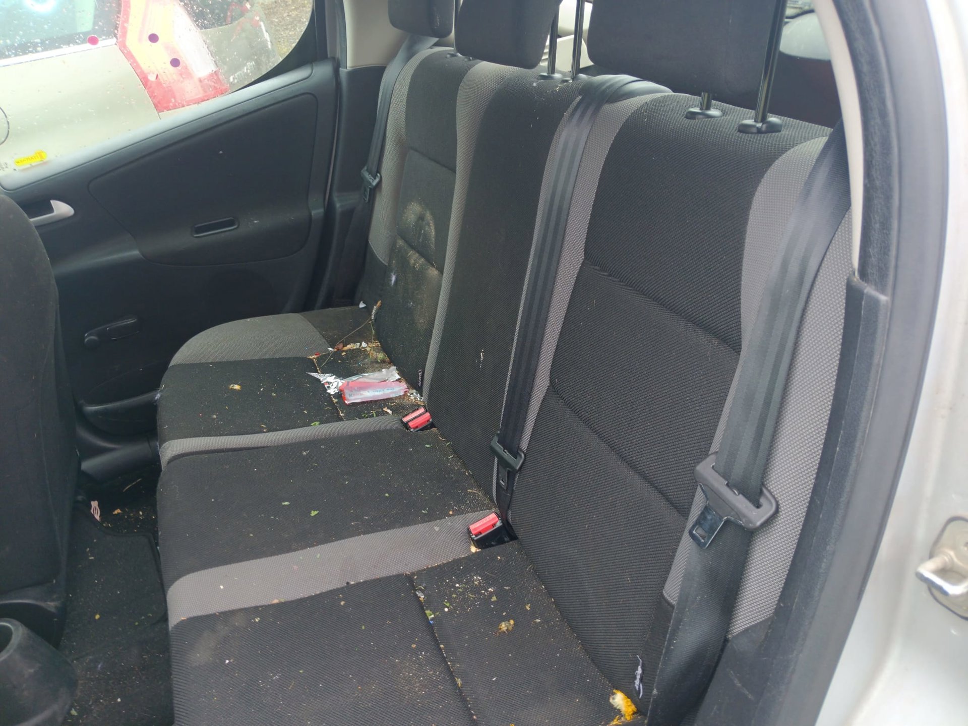 rear_seats