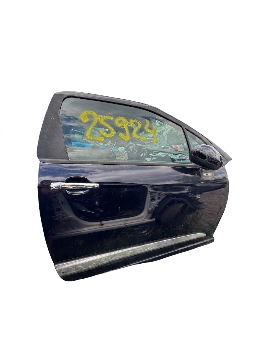 Dveře pravé přední