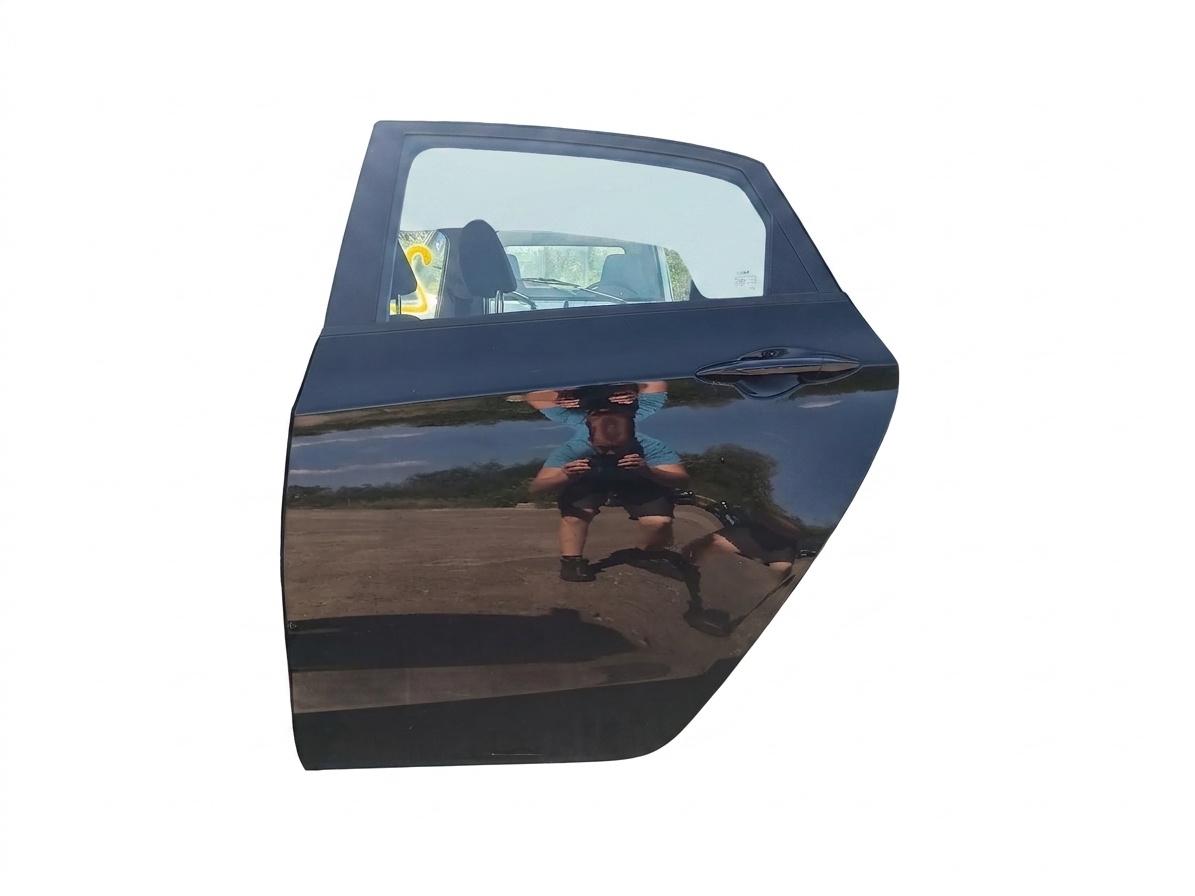 Dveře levé zadní