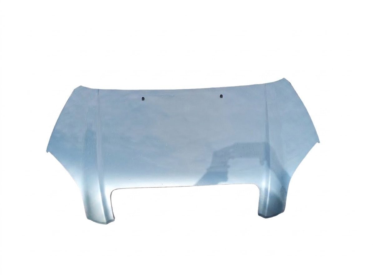 PANEL ASSY - HOOD
