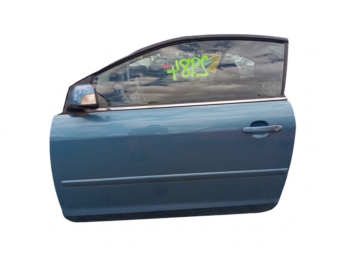 Dveře levé přední